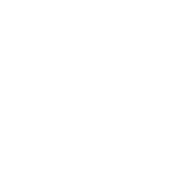Capacity Icon